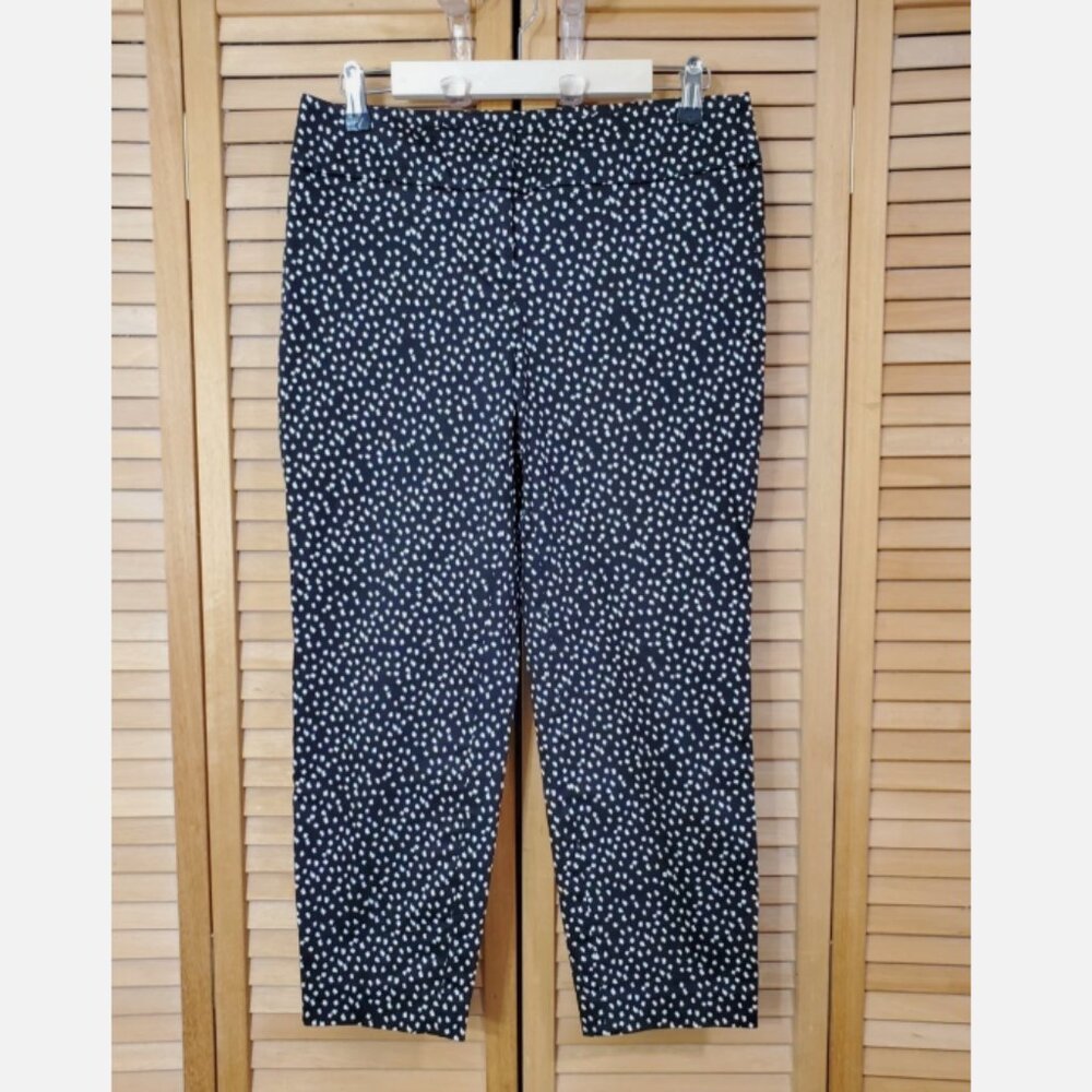 LOFT Marisa Modern Print Cropped Pants Size 2